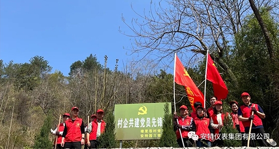 党建强引领，共植先锋林